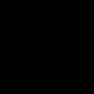 Meet your Posher, Jackson